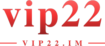 vip22 logo